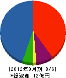 宮川工務店 貸借対照表 2012年9月期