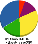 原資材 貸借対照表 2010年5月期 原資材 貸借対照表 2010年5月期