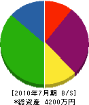 齋藤電気工事 貸借対照表 2010年7月期