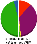 菊地設備工業所 貸借対照表 2009年3月期