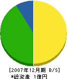 藤川電気工事店 貸借対照表 2007年12月期