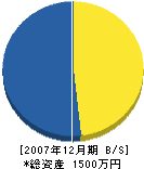 竹田組 貸借対照表 2007年12月期