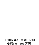 長野表具店 貸借対照表 2007年12月期