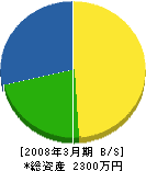 東京ローン・サービス 貸借対照表 2008年3月期