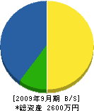 照井電設 貸借対照表 2009年9月期