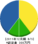 津川工務店 貸借対照表 2011年12月期