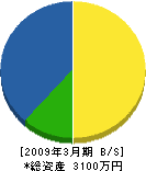 新田電気商会 貸借対照表 2009年3月期