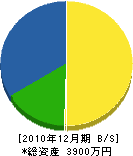野田組 貸借対照表 2010年12月期