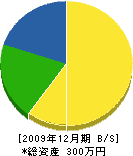 阿漕電気商会 貸借対照表 2009年12月期