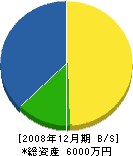 高慶サク泉 貸借対照表 2008年12月期