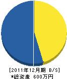 山脇内外装店 貸借対照表 2011年12月期