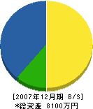 竹田興業 貸借対照表 2007年12月期
