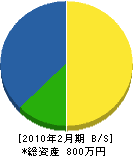 大島造園 貸借対照表 2010年2月期