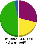 徳安電気商会 貸借対照表 2009年12月期