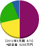 琉電工業社 貸借対照表 2012年6月期