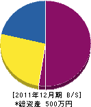 中電設 貸借対照表 2011年12月期