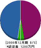 手塚工業 貸借対照表 2008年12月期