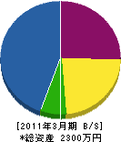 金澤塗装 貸借対照表 2011年3月期