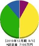 川崎園芸 貸借対照表 2010年12月期
