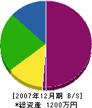 ハヤサカ 貸借対照表 2007年12月期