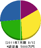 岩井工務店 貸借対照表 2011年7月期