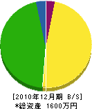 大塚造園土木 貸借対照表 2010年12月期