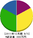 横田設備 貸借対照表 2011年12月期