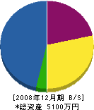 鎌田造園土木 貸借対照表 2008年12月期