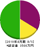 竹島組 貸借対照表 2010年4月期