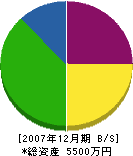 昭和空調設備 貸借対照表 2007年12月期