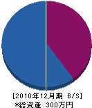 増田商店 貸借対照表 2010年12月期