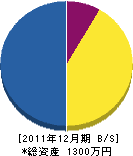 三瀬電気 貸借対照表 2011年12月期