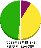 中村電気 貸借対照表 2011年12月期