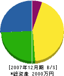 前田塗装店 貸借対照表 2007年12月期