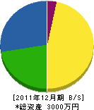 松原園 貸借対照表 2011年12月期