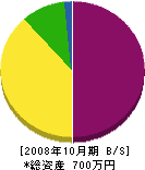 山田建設 貸借対照表 2008年10月期