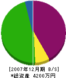 タイシン興業 貸借対照表 2007年12月期