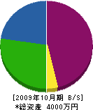 小沢工業 貸借対照表 2009年10月期