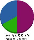 松井電工 貸借対照表 2011年12月期