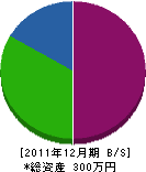 大石総合園芸 貸借対照表 2011年12月期