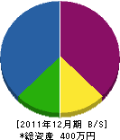 中村塗装店 貸借対照表 2011年12月期