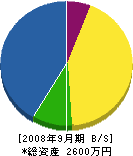 照井電設 貸借対照表 2008年9月期