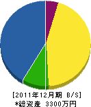 松浦組 貸借対照表 2011年12月期