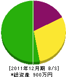 辰巳組 貸借対照表 2011年12月期