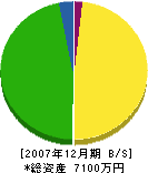 ＊田塗装店 貸借対照表 2007年12月期