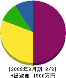 竹内工業 貸借対照表 2008年6月期