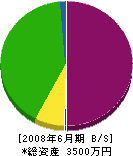 津久井組 貸借対照表 2008年6月期