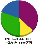中村組 貸借対照表 2009年9月期