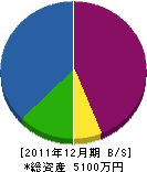 坂井エンジニアリング 貸借対照表 2011年12月期