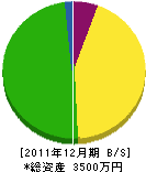 坂井電気商会 貸借対照表 2011年12月期